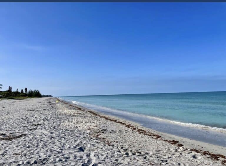Beaches