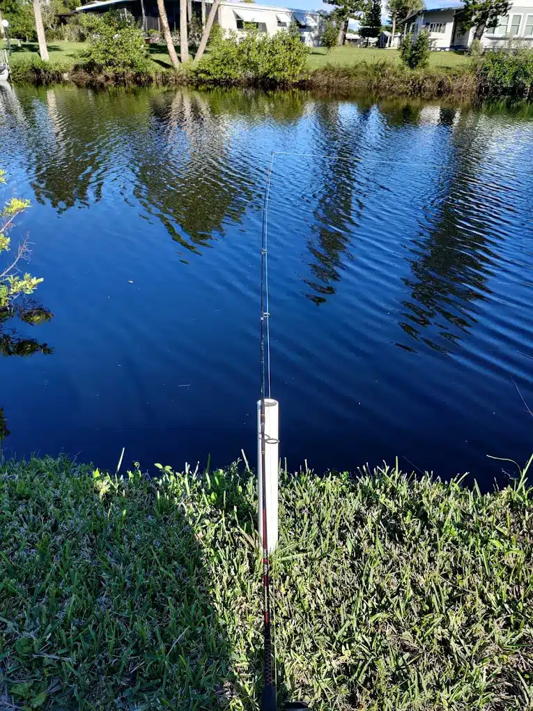 Fish from River Banks